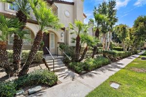 featured image of 82 Rosenblum