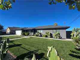 featured image of 8501 Catalpa Avenue
