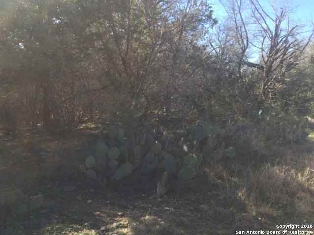 175 Broken Bow Dr - Photo 3 of 5