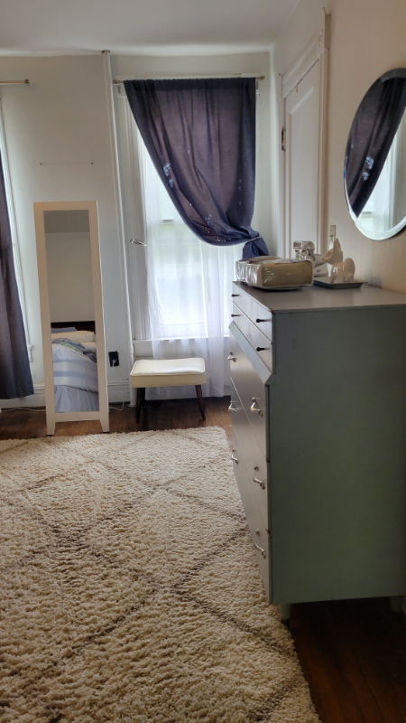 58 West Sixth Street #1FURNISHED - Photo 3 of 36