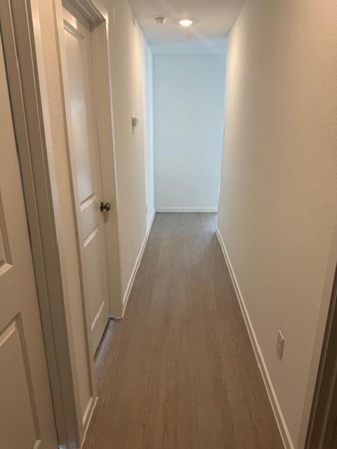 3101 Burmese Street #3101 - Photo 6 of 19