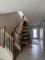 845 Bocavista Court #845 - Photo 1 of 1