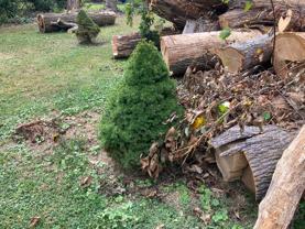 1674 Highpoint Lane - Photo 1 of 1