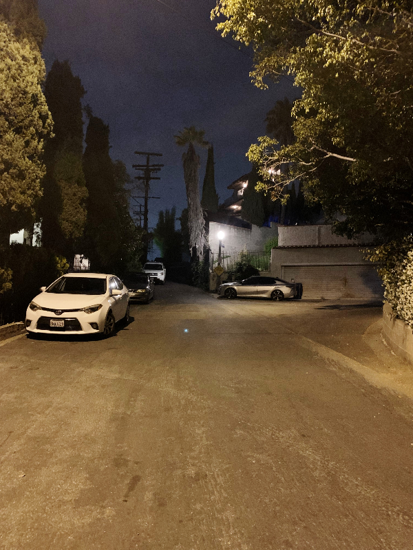 2025 Cheremoya Avenue #203