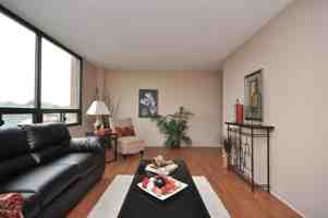 featured image of 41 Cowie Hill Road