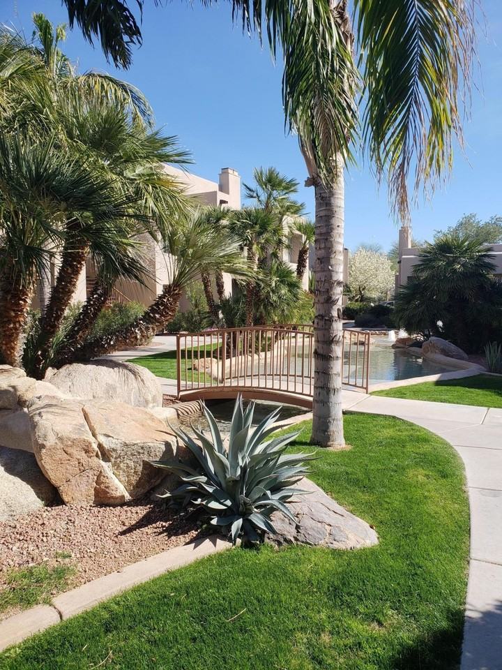 11260 N 92nd St Unit 1127 #1127 - Photo 5 of 42