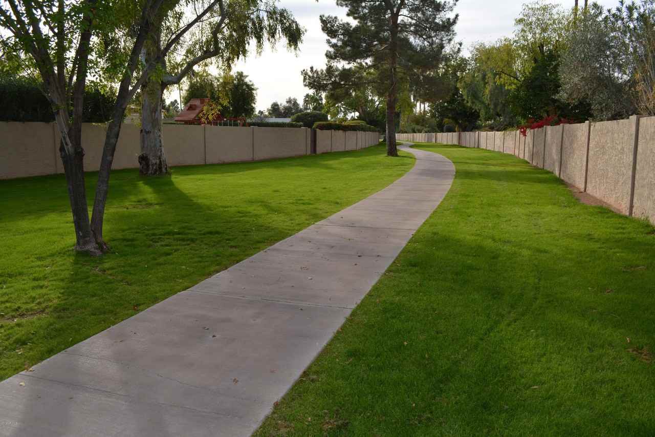 10101 N Arabian Trl #2003 - Photo 3 of 33
