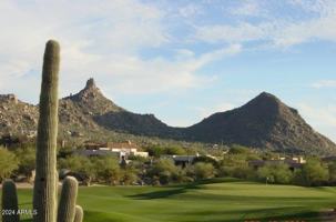 featured image of 28695 North 94th Place