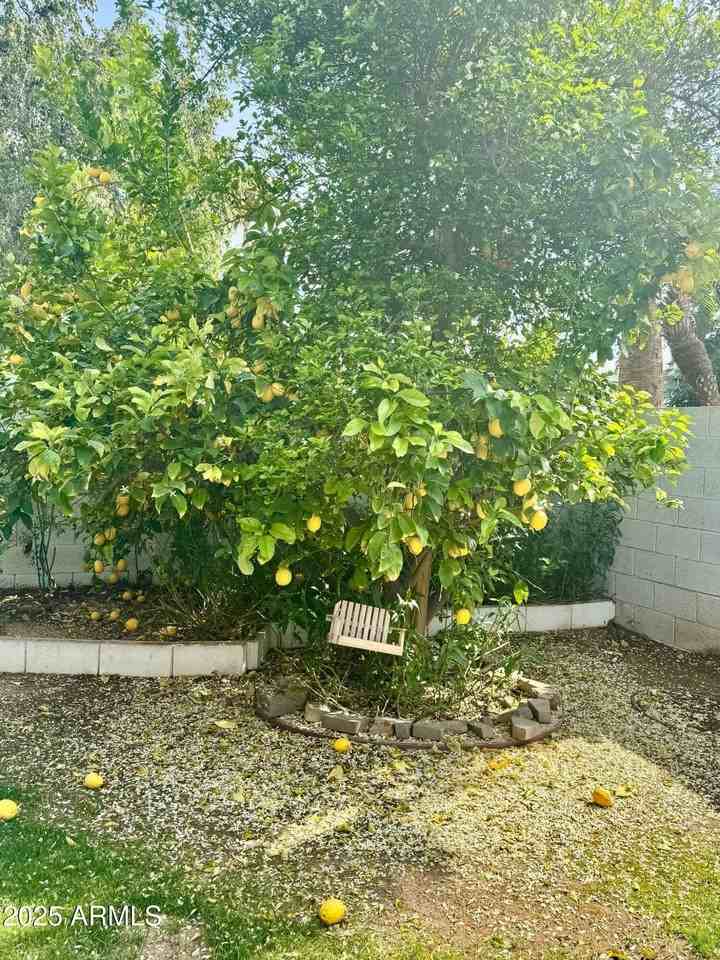 10699 East Mescal Street - Photo 5 of 20