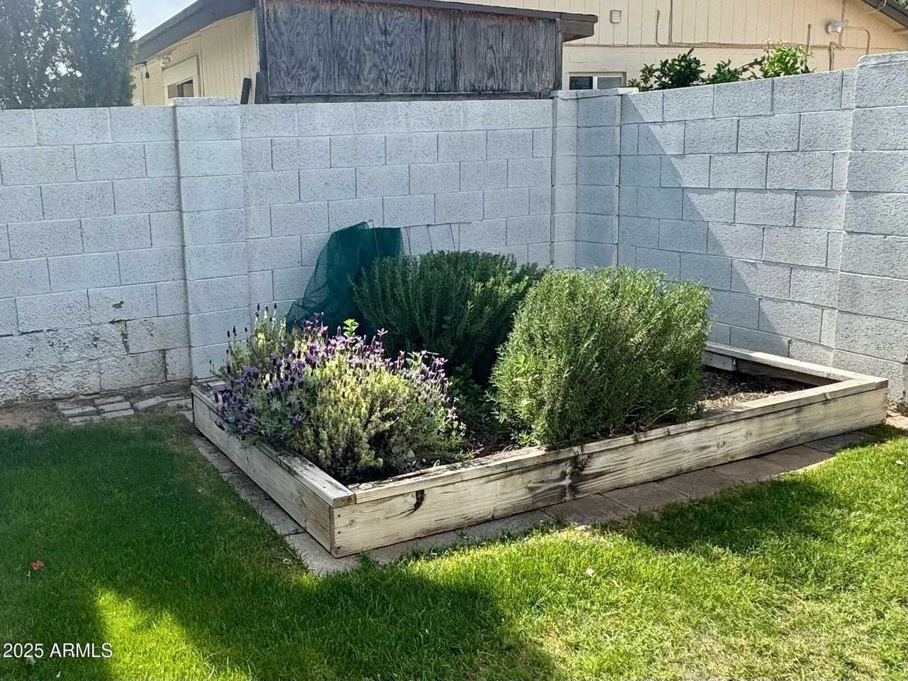 10699 East Mescal Street - Photo 7 of 20