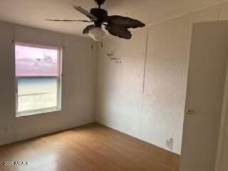 26629 North 206th Avenue - Photo 7 of 14