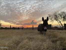 featured image of 5824 East Montgomery Road