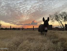 5824 East Montgomery Road - Photo 1 of 1