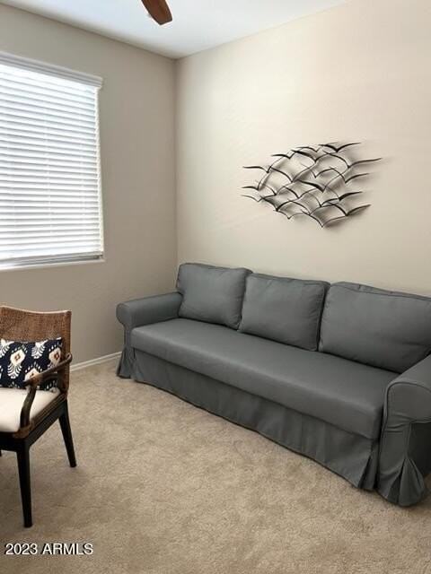 27389 West Wahalla Lane - Photo 4 of 37