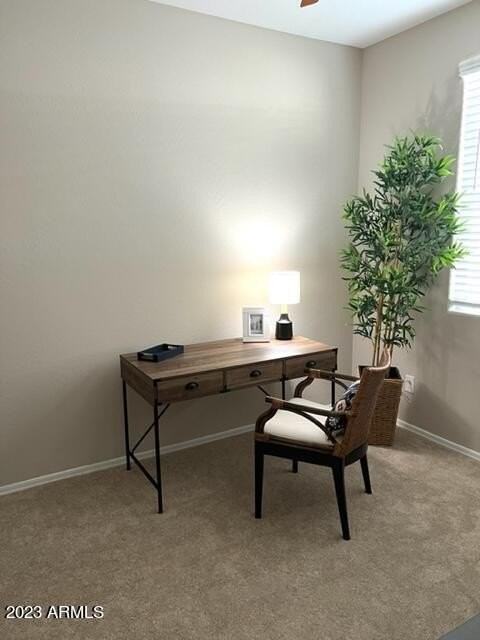 27389 West Wahalla Lane - Photo 5 of 37