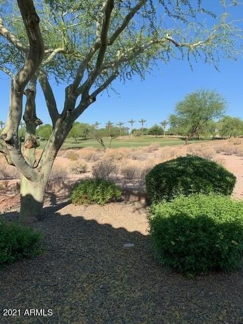 28110 N 123rd Ln - Photo 3 of 36