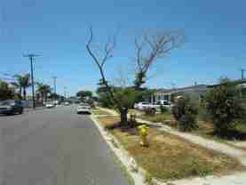 1907 West 154th Place #A - Photo 1 of 1