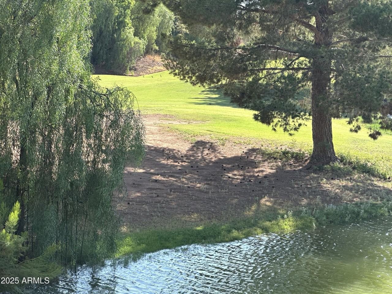 1755 W Aspen Ave - Photo 7 of 50