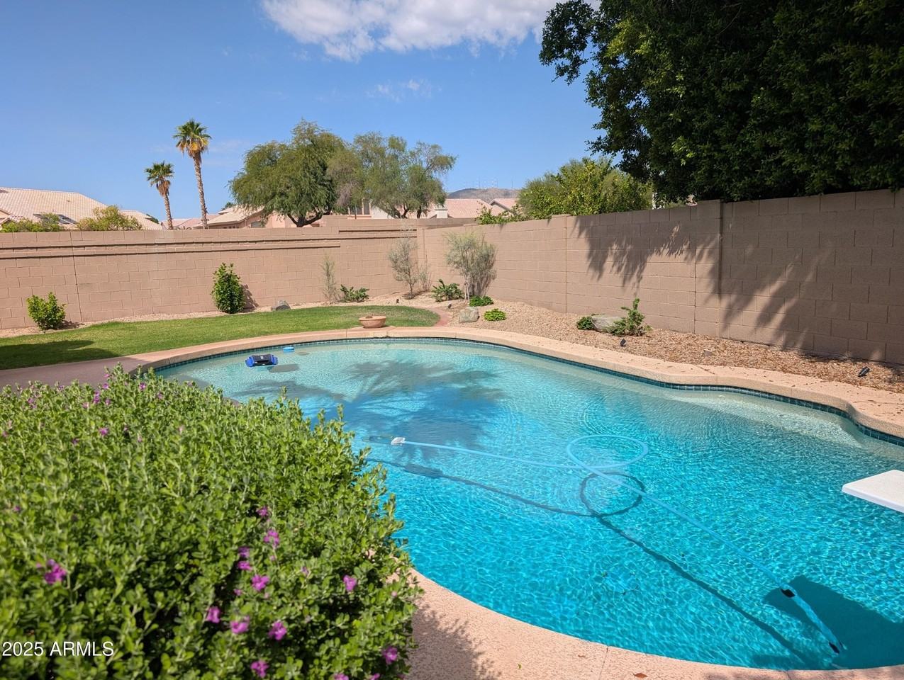 3202 E Mountain Vista Dr - Photo 5 of 32