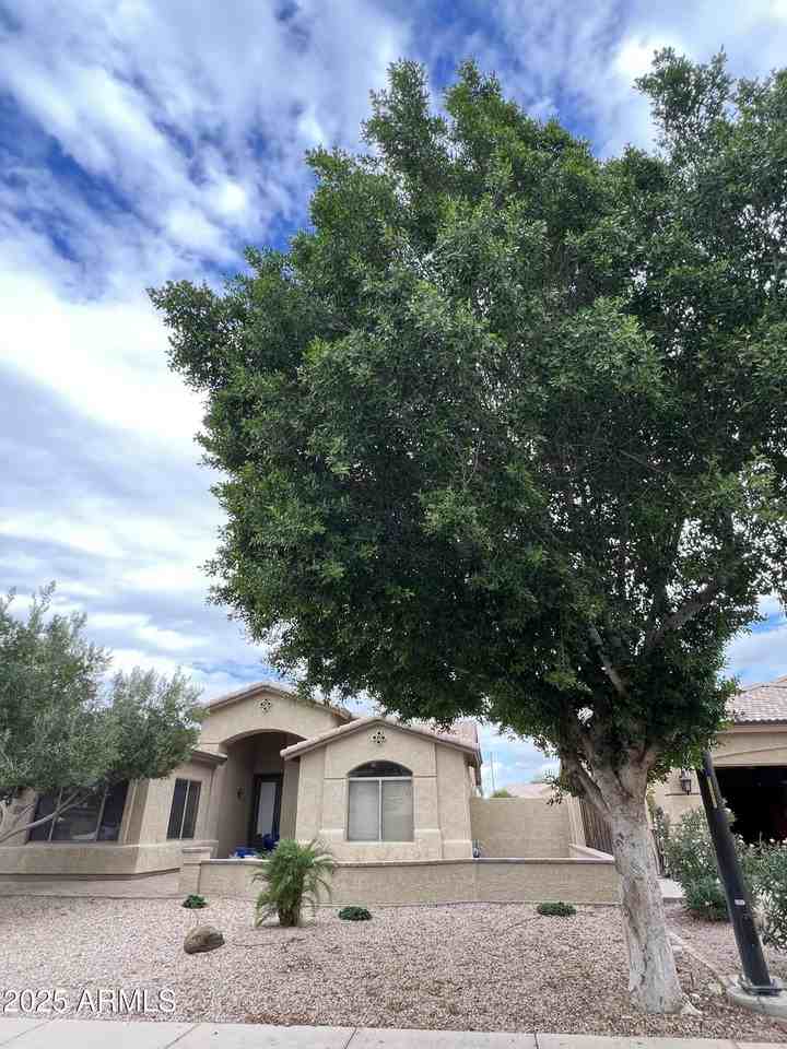 4484 E Redfield Ct - Photo 3 of 25