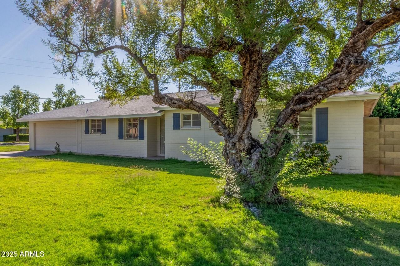 5306 N 8th Ave - Photo 6 of 30