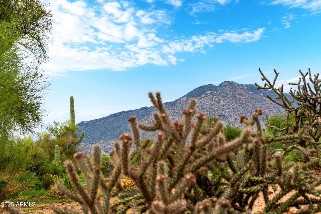 34748 N 93rd Pl - Photo 3 of 48