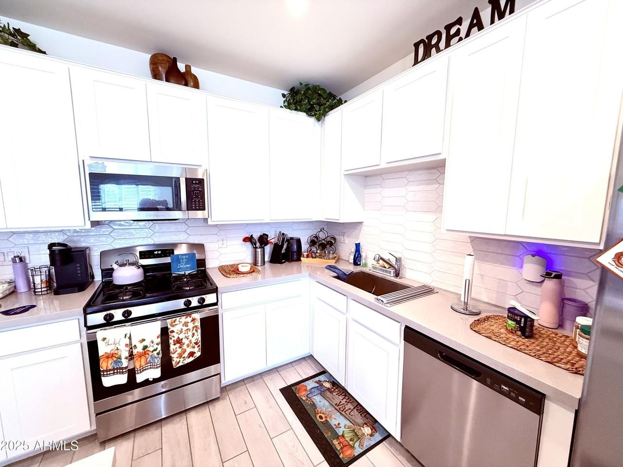 35377 W Santa Monica Ave - Photo 3 of 33