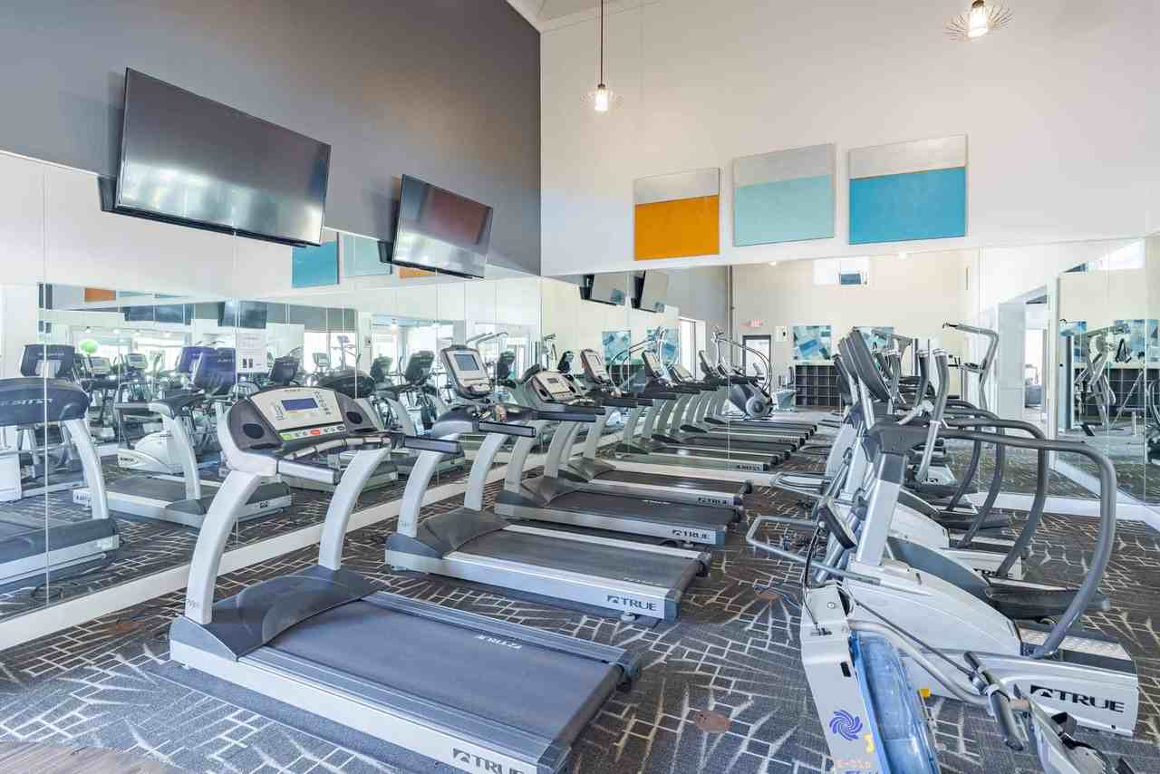 Butternut Ridge - Photo 5 of 44