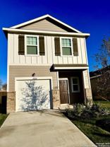 3226 Golden Dandelion - Photo 1 of 1