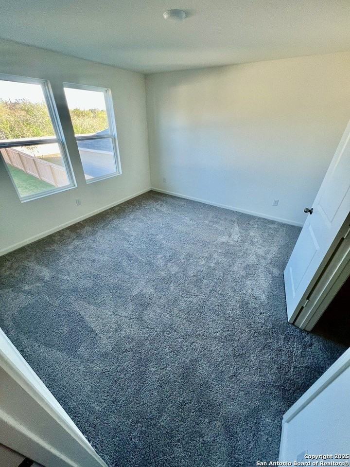 3226 Golden Dandelion - Photo 4 of 9