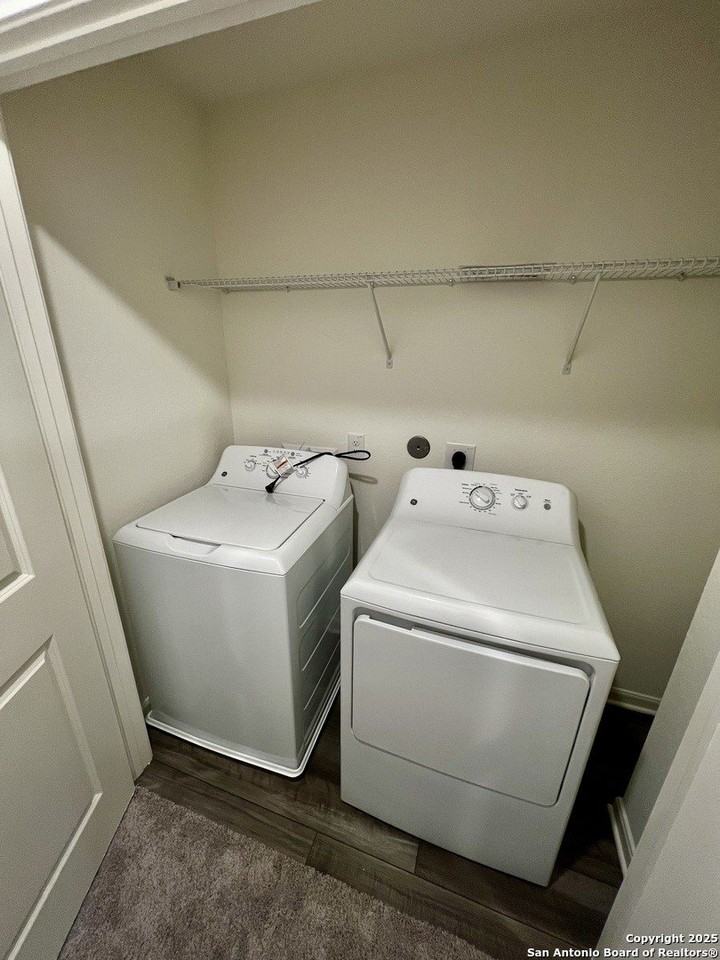 3226 Golden Dandelion - Photo 6 of 9