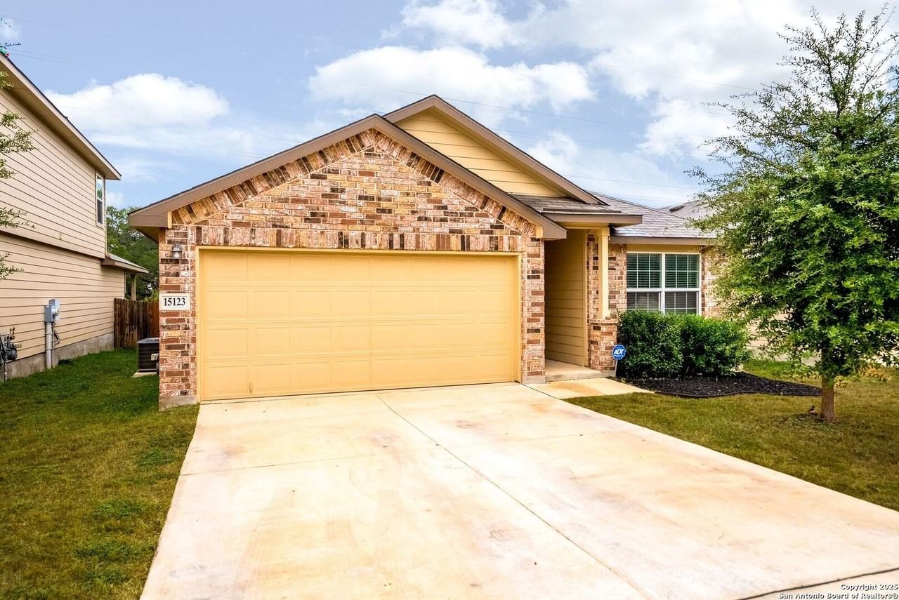 15123 Long Tailed Duck - Photo 2 of 33