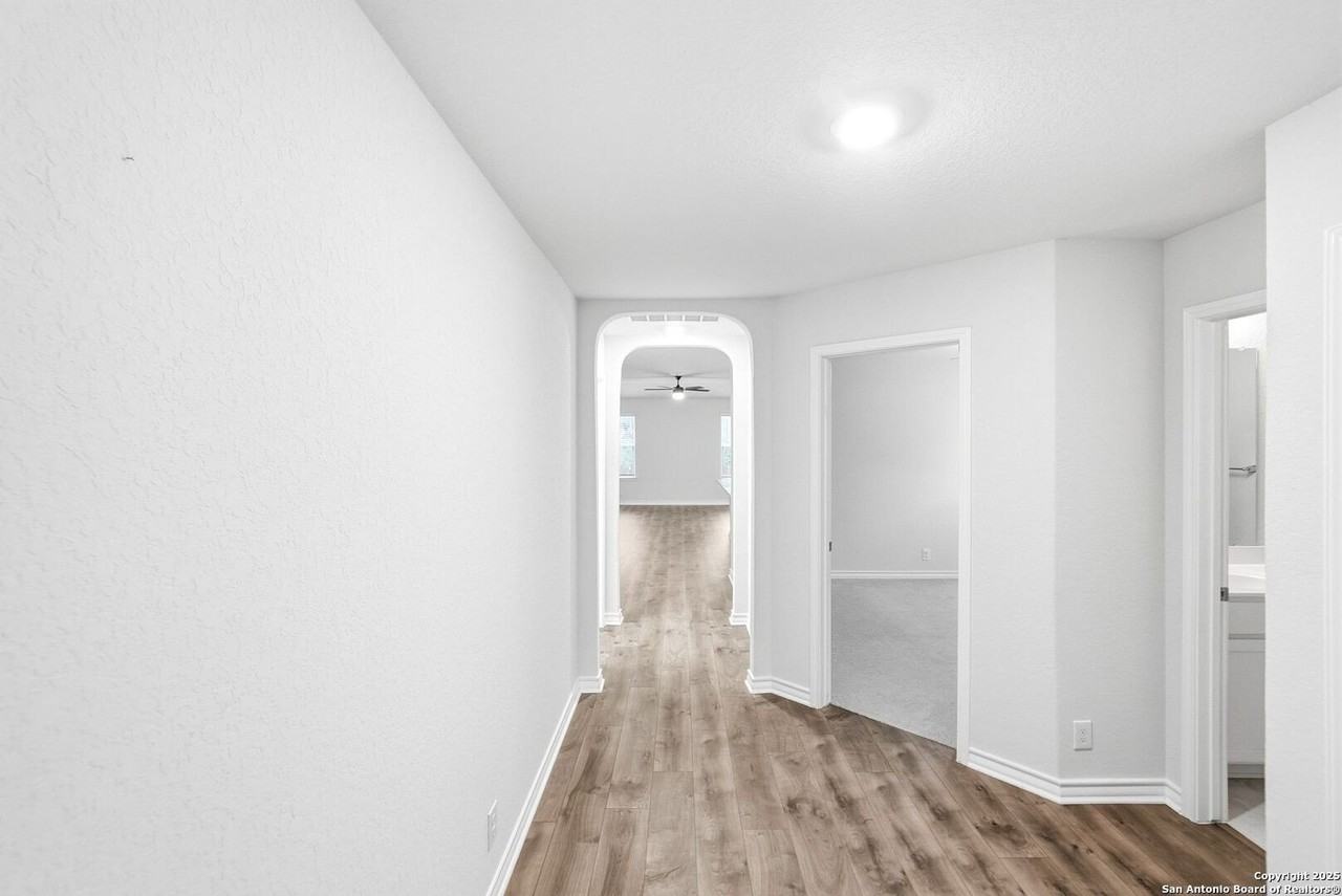 15123 Long Tailed Duck - Photo 3 of 33