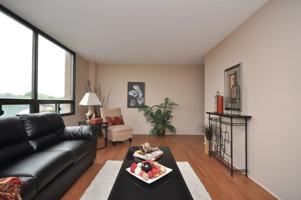 featured image of 41 Cowie Hill Road