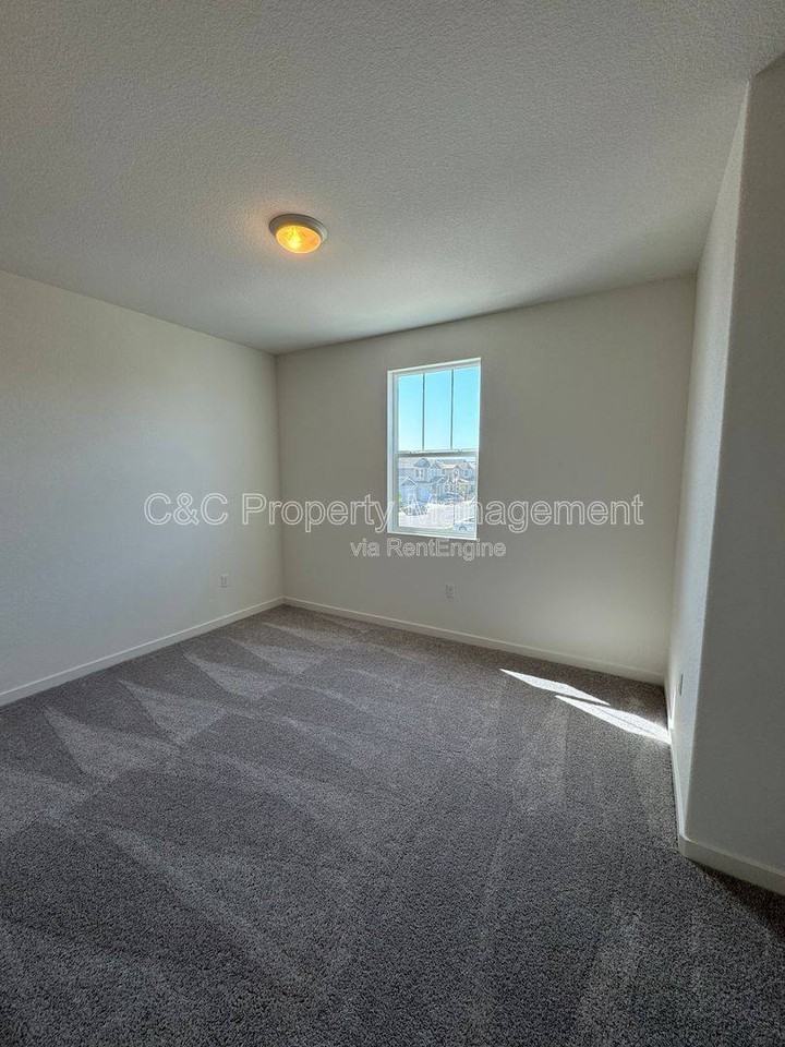 5339 Shenandoah Valley Lane - Photo 6 of 10