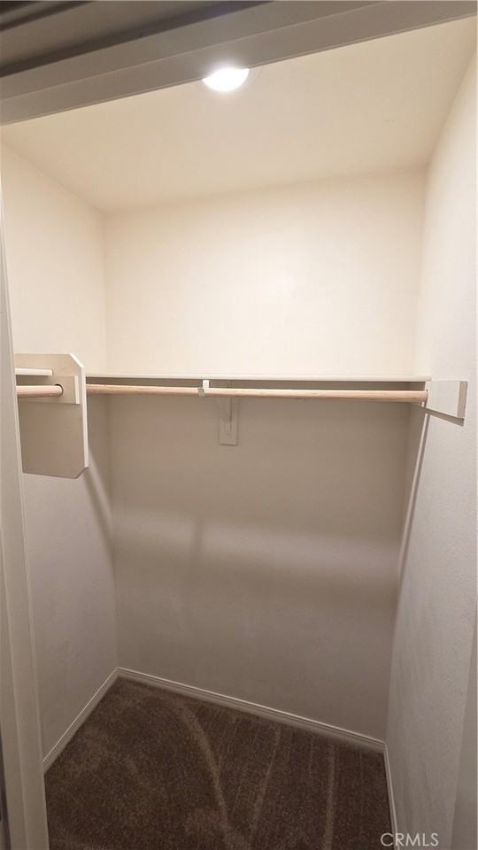 5321 Declan St #5321 - Photo 3 of 37