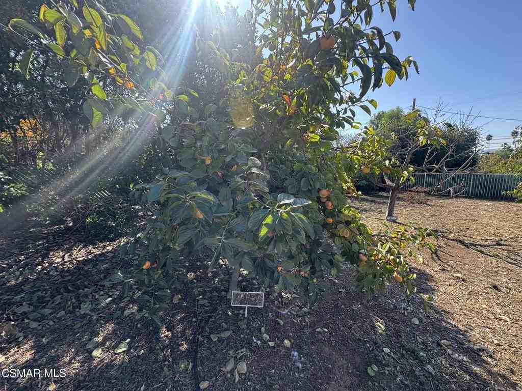 381 Laguna Ter #381 - Photo 7 of 48