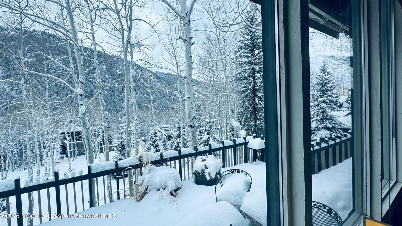 302 Roaring Fork Dr - Photo 3 of 29