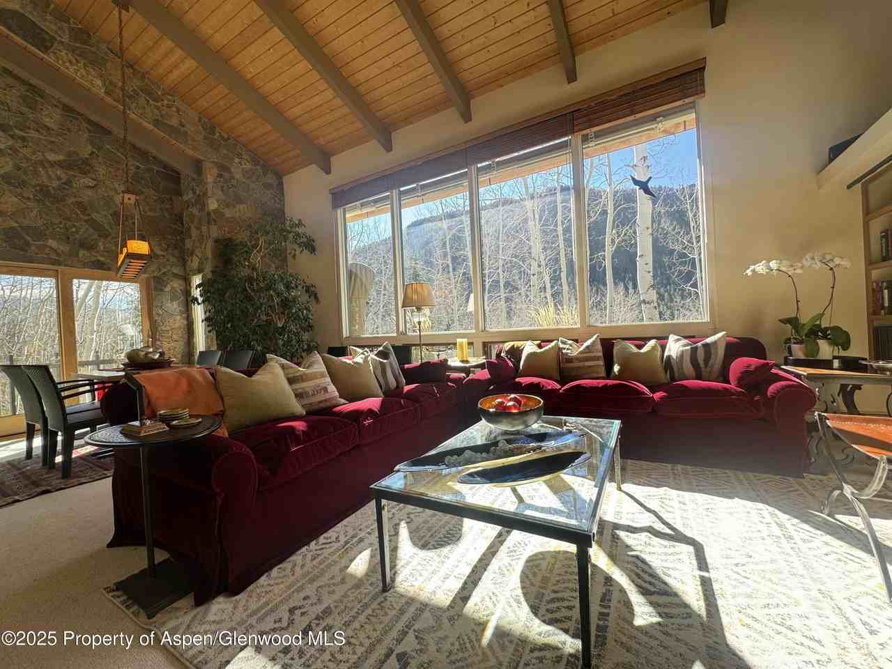 302 Roaring Fork Dr - Photo 7 of 29