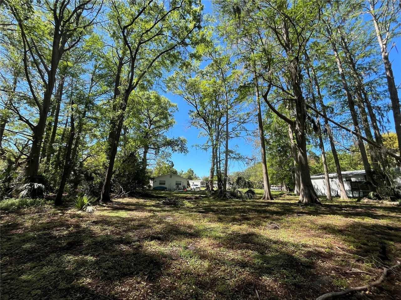 8546 Cameo Dr - Photo 7 of 20