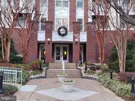 1641 International Drive #415 - Photo 1 of 1