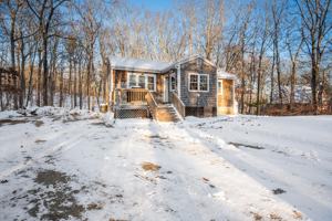 featured image of 46 Willow Street