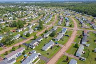 Pine Tree Village - Photo 1 of 1