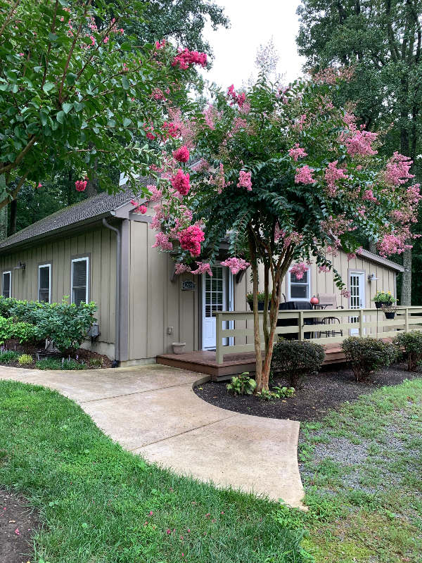 42085 Sweet Spring Ln - Photo 2 of 22