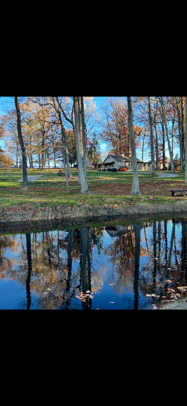 42085 Sweet Spring Ln - Photo 6 of 22