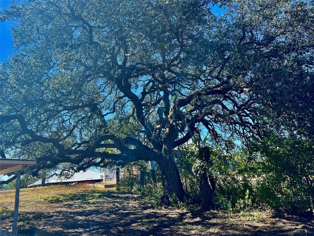 305 North Hall Street #305 - Photo 2 of 37