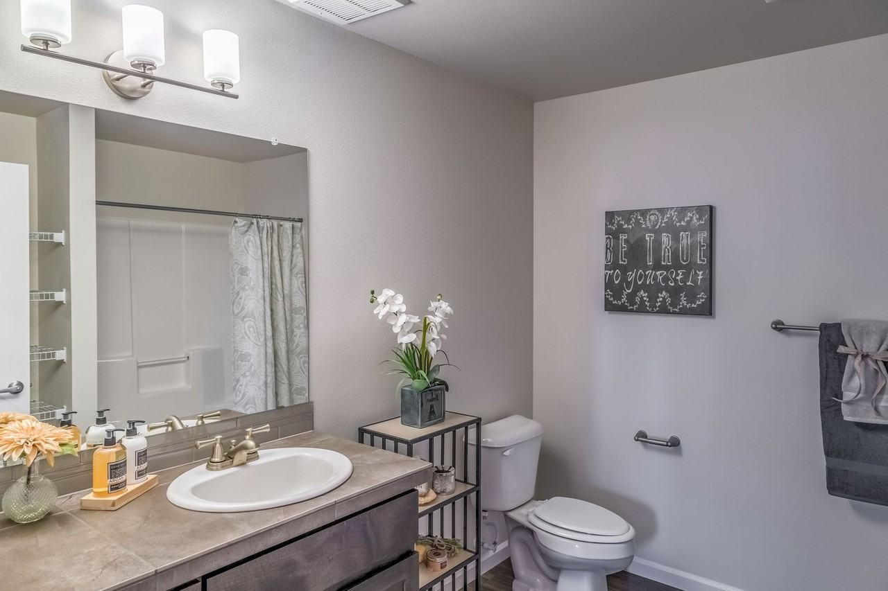 Escena Apartments - Photo 7 of 31