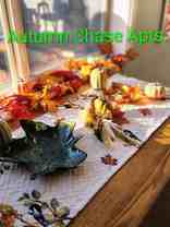 #330 AUTUMN CHASE - Photo 1 of 1