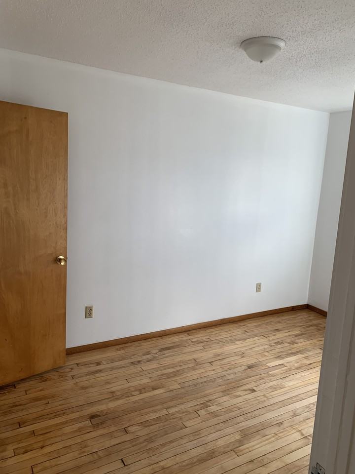 401 Anne Street Illiopolis, IL 62539 - Photo 3 of 15