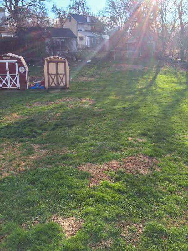 802 Main St - Photo 2 of 2